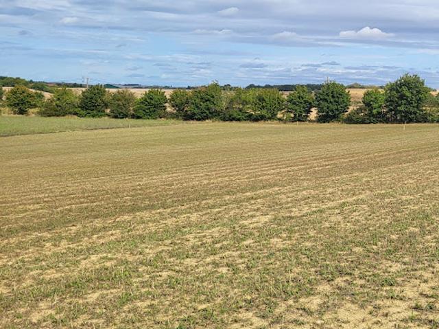 Vente Terrain constructible 634 m2 Caraman