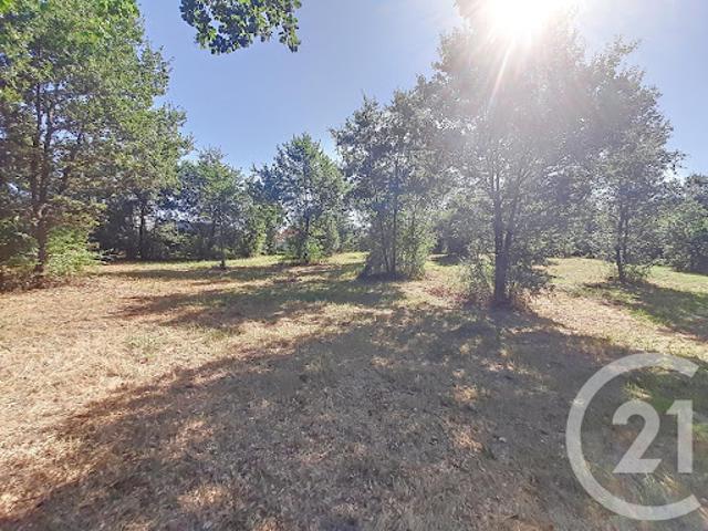Vente Terrain constructible 6300 m2 Auterive