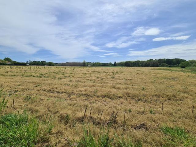 Vente Terrain constructible 646 m2 Sainte Marie de Gosse