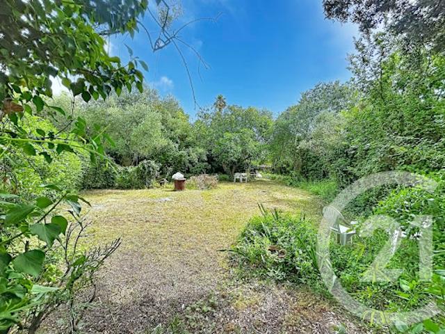 Vente Terrain constructible 643 m2 Saint Vincent de Barbeyrargues