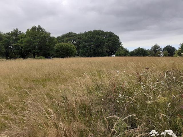 Vente Terrain constructible 6611 m2 Saint Priest sous Aixe