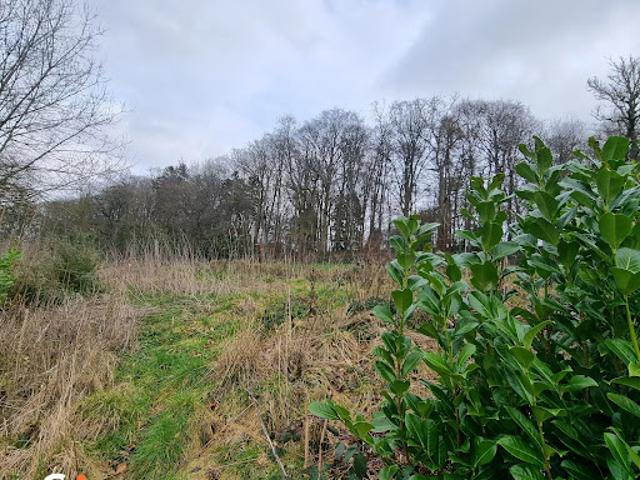 Vente Terrain constructible 699 m2 Dénestanville