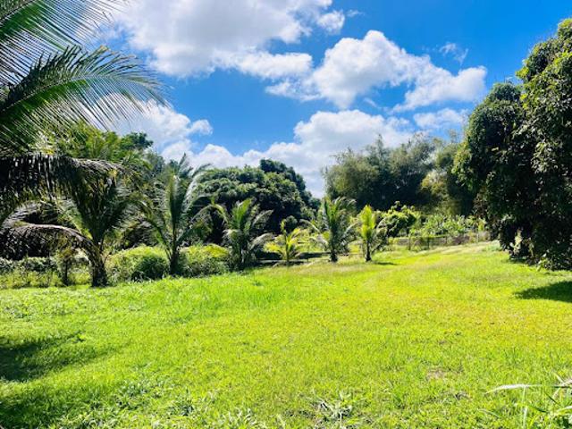 Vente Terrain constructible 700 m2 Baie mahault