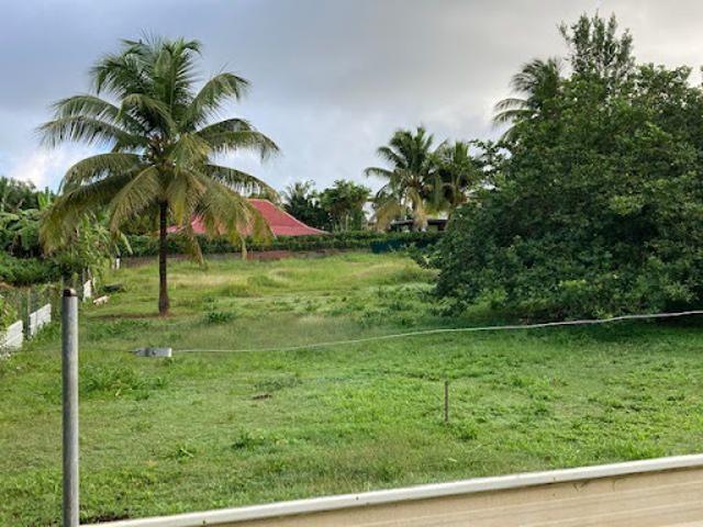 Vente Terrain constructible 701 m2 Baie mahault