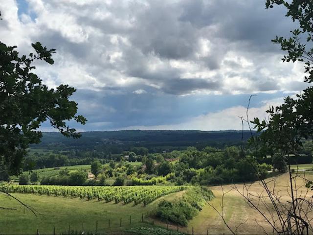 Vente Terrain constructible 7284 m2 Puy l'Evêque