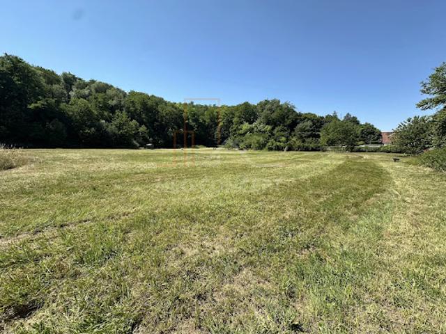Vente Terrain constructible 7460 m2 Neewiller près Lauterbourg