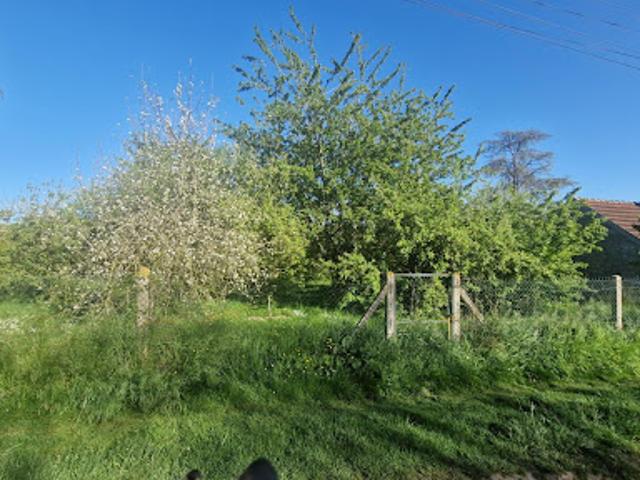 Vente Terrain 766 m2 Coulommiers