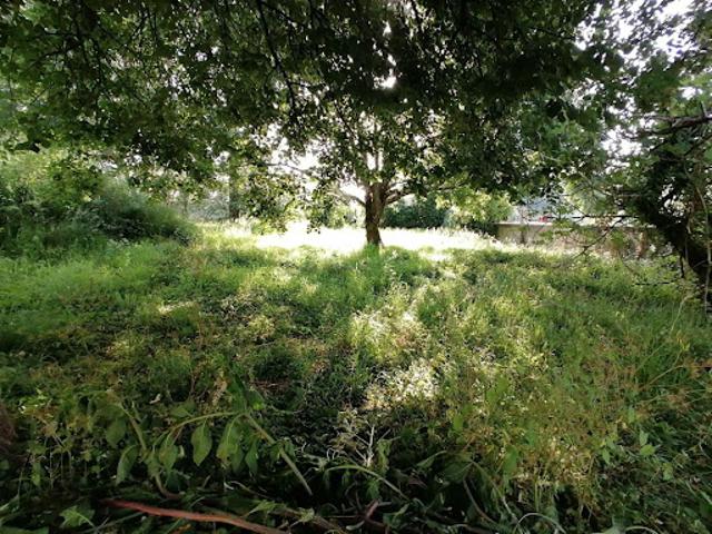 Vente Terrain constructible 774 m2 Saint Georges de Didonne