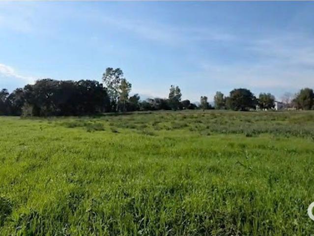 Vente Terrain constructible 804 m2 Prunelli di Fiumorbo