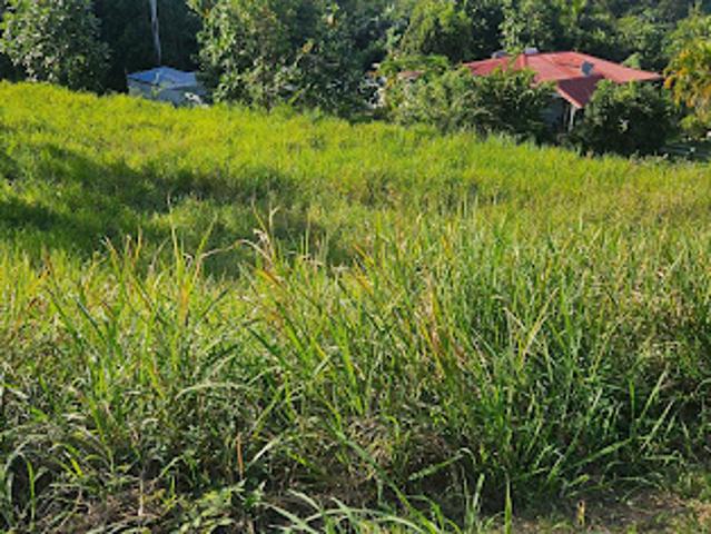 Vente Terrain constructible 800 m2 Petit bourg