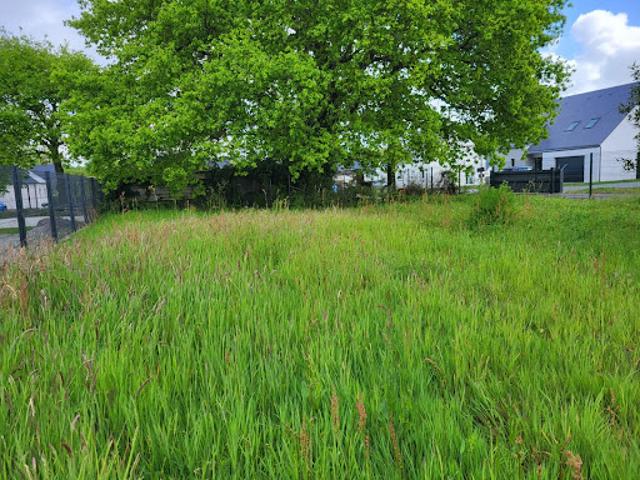Vente Terrain constructible 810 m2 Mesquer