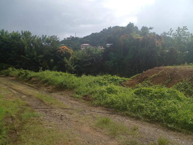 Vente Terrain constructible 812 m2 Le vauclin