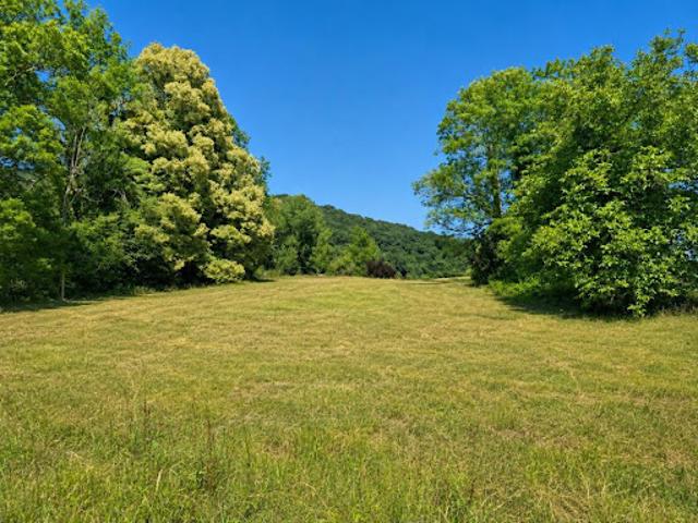 Vente Terrain constructible 8334 m2 Gan