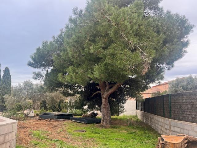 Vente Terrain constructible 850 m2 Marseillan