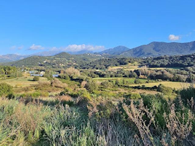 Vente Terrain constructible 870 m2 Bastelicaccia