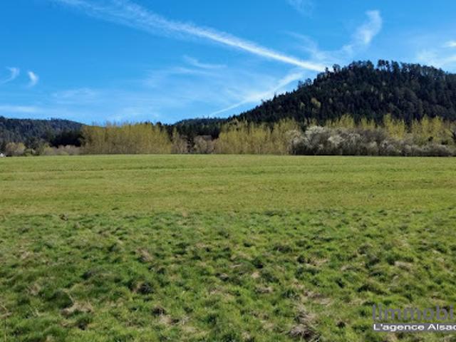 Vente Terrain constructible 892 m2 La Bourgonce
