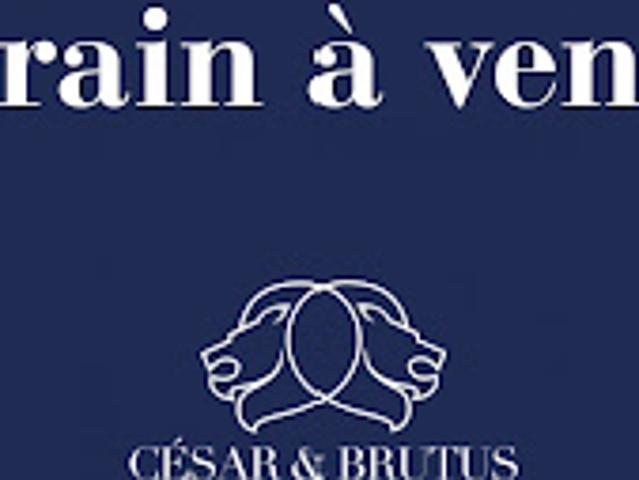 Vente Terrain constructible 919 m2 Saint Gervais les Bains