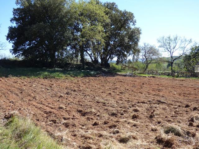 Vente Terrain constructible 950 m2 Bédoin