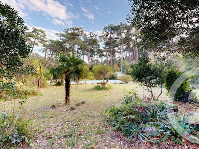 Vente Terrain constructible 962 m2 Anglet