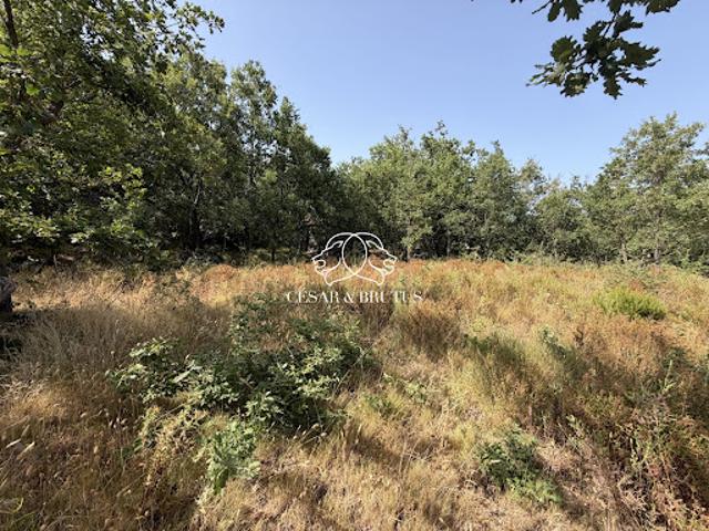 Vente Terrain constructible 974 m2 Murato