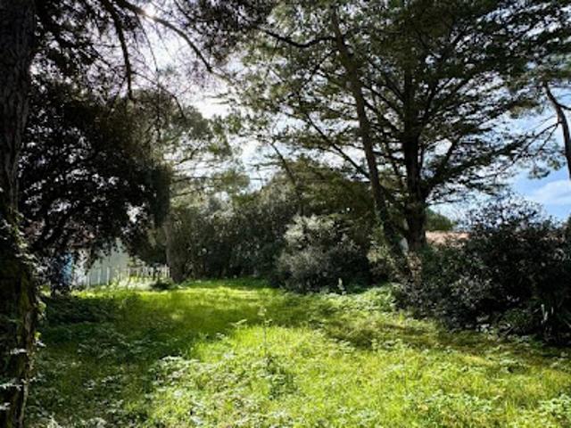 Vente Terrain constructible 990 m2 Saint Georges d'Oléron
