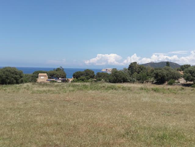 Vente Terrain constructible Corbara