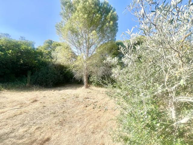 Vente Terrain constructible Forcalqueiret