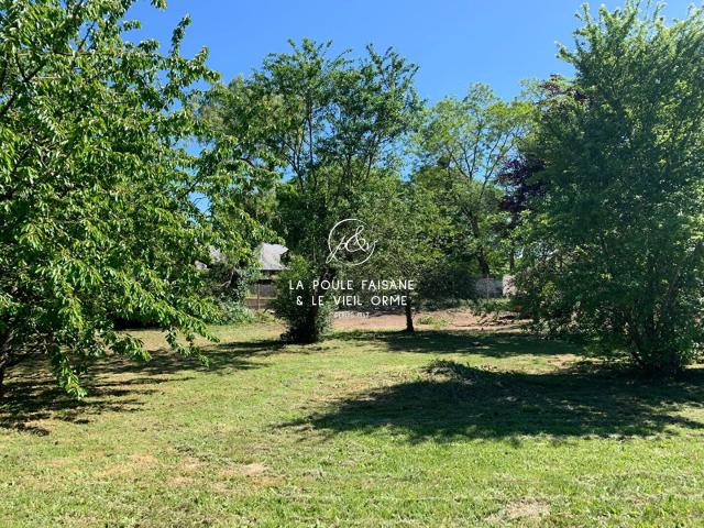 VENTE TERRAIN CONSTRUCTIBLE LA HAUTEVILLE