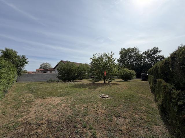 Vente Terrain constructible Neuville les Dames
