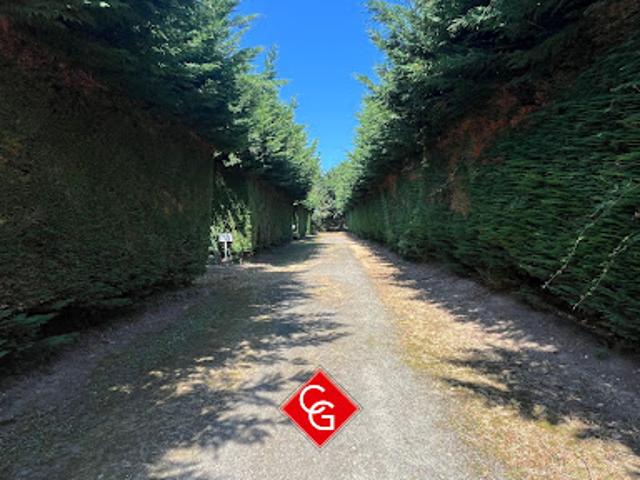 Vente Terrain constructible Trévières
