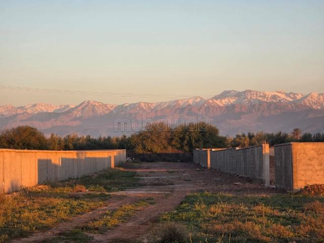 Vente terrain d'un hectare route Amizmiz Marrakech