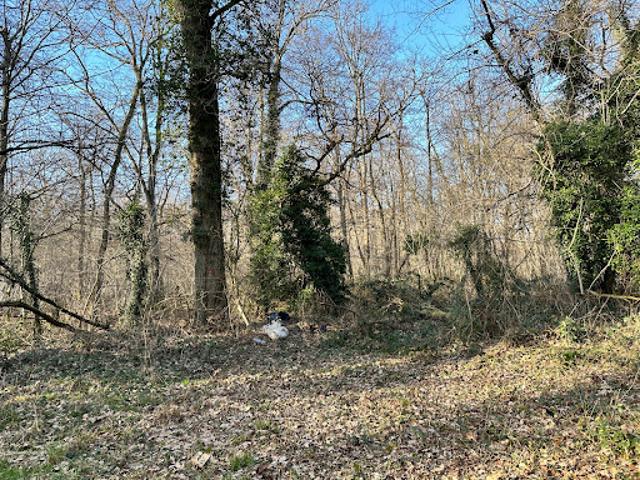 Vente Terrain de loisirs 0 m2 La Genevraye