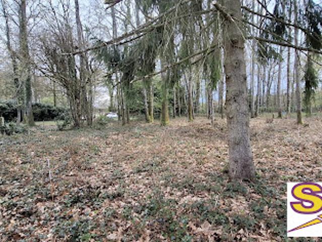Vente Terrain constructible 0 m2 La Selle en Hermoy