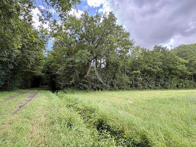 Vente Terrain de loisirs 0 m2 Le Plessis Grammoire