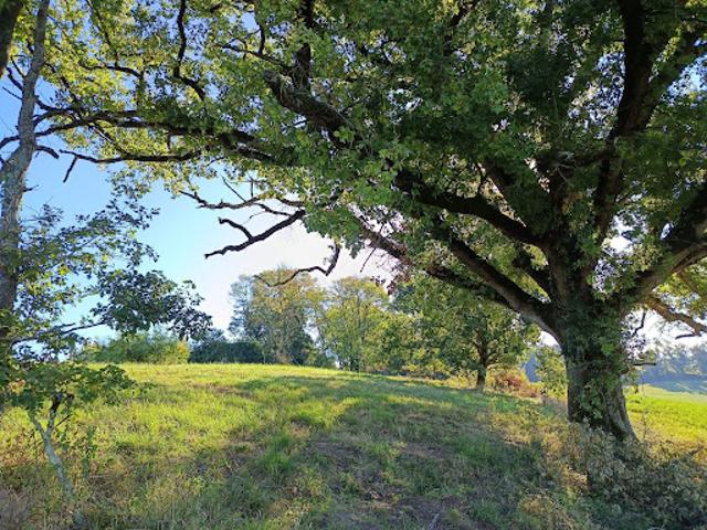 Vente Terrain de loisirs 0 m2 Montdurausse