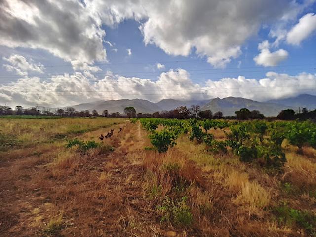 Vente Terrain de loisirs 0 m2 Saint andre