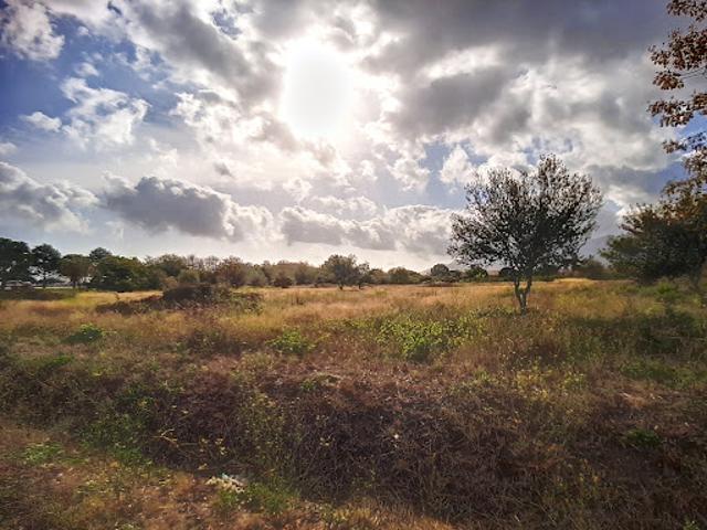 Vente Terrain de loisirs 0 m2 Saint andre