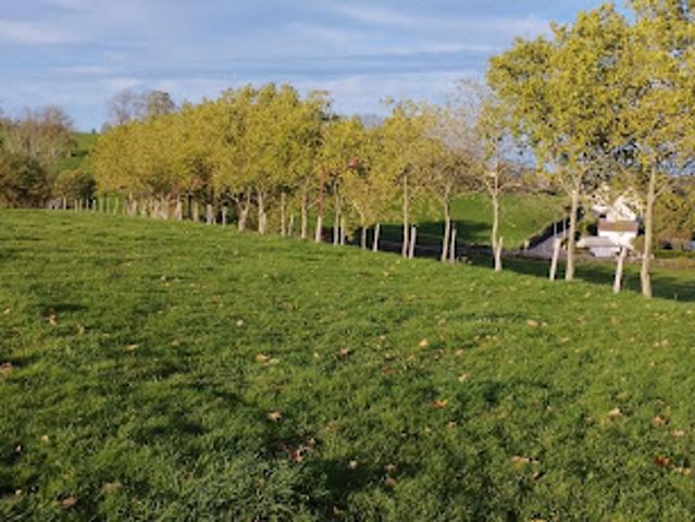 Vente Terrain constructible 0 m2 Mauriac