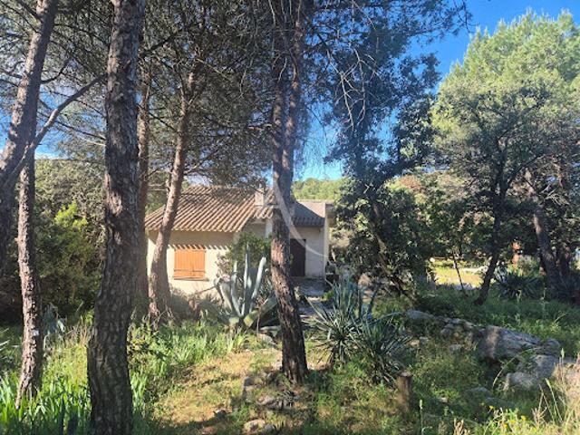 Vente Terrain de loisirs 10100 m2 Gigean