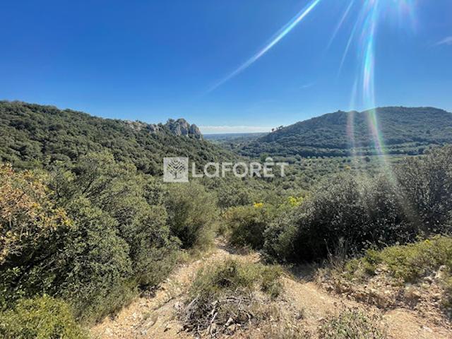 Vente Terrain de loisirs 11260 m2 Saint Bonnet du Gard