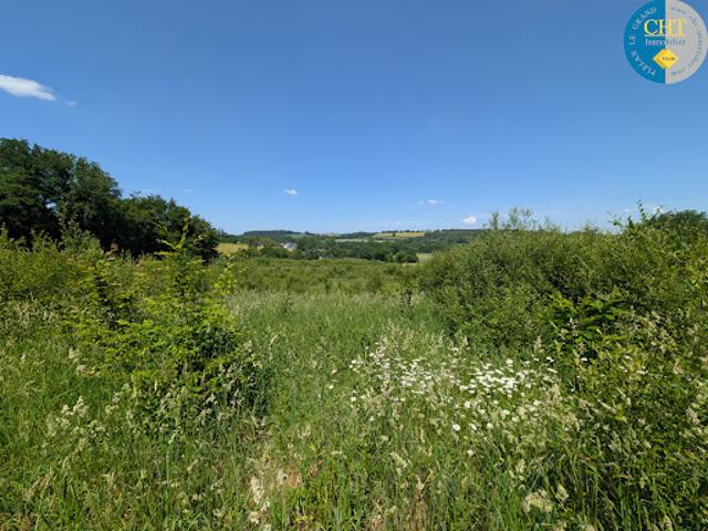 Vente Terrain de loisirs 14957 m2 Beignon