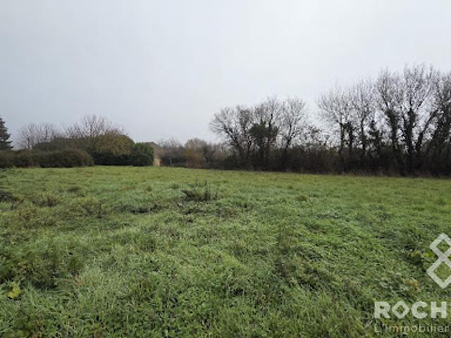 Vente Terrain de loisirs 1500 m2 Paillé