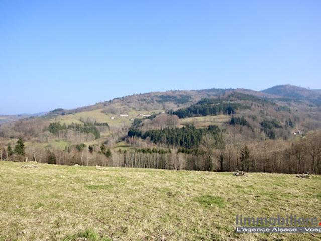 Vente Terrain constructible 0 m2 La Croix aux Mines