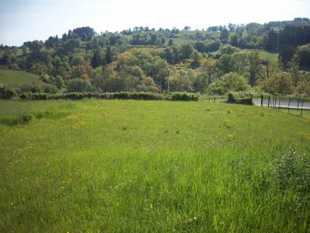 Vente Terrain constructible 0 m2 Saint Dier d'Auvergne