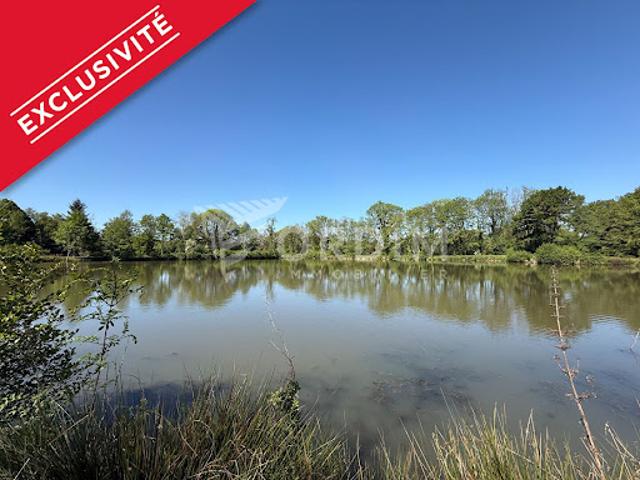 Vente Terrain de loisirs 20000 m2 Saint Fargeau