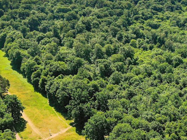Vente Terrain 35556 m2 Prouilly