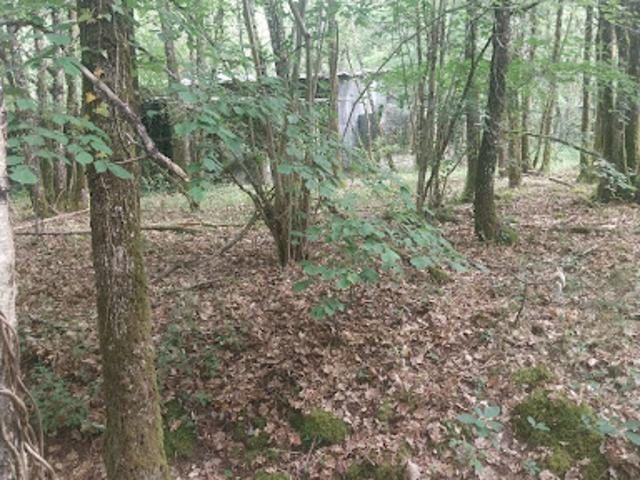 Vente Terrain de loisirs 3878 m2 Langeais