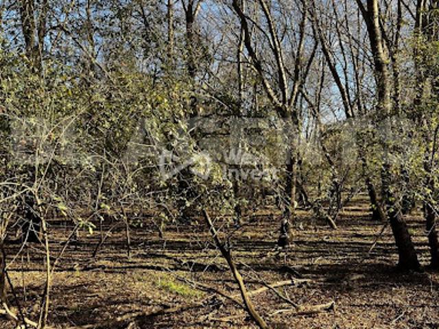 Vente Terrain 0 m2 Bras