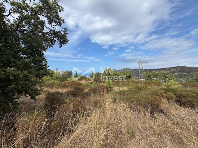 Vente Terrain constructible 4668 m2 Cateri