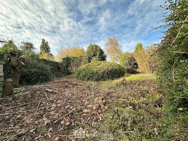 Vente Terrain de loisirs 475 m2 Chaillevois
